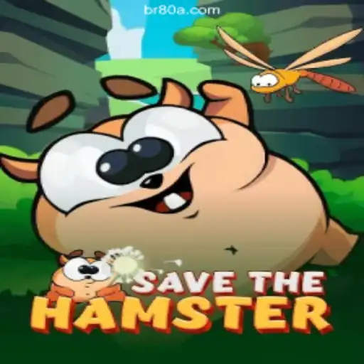 Experience the Thrills of 